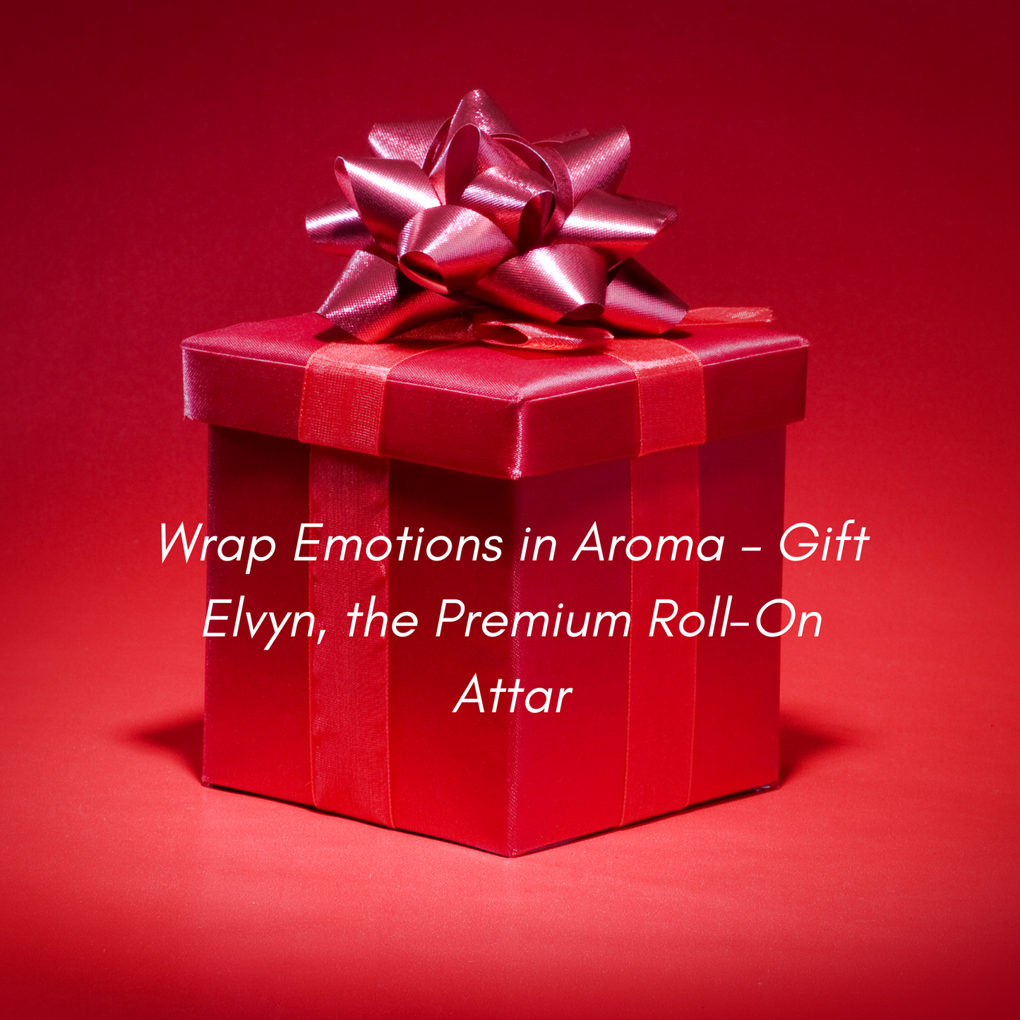 Ocean + Acqua + Bloom Elvyn Premium Roll-on Perfumes (Pack of 3)